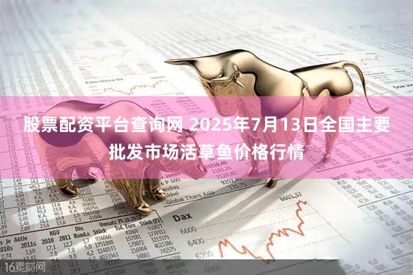 股票配资平台查询网 2025年7月13日全国主要批发市场活草鱼价格行情